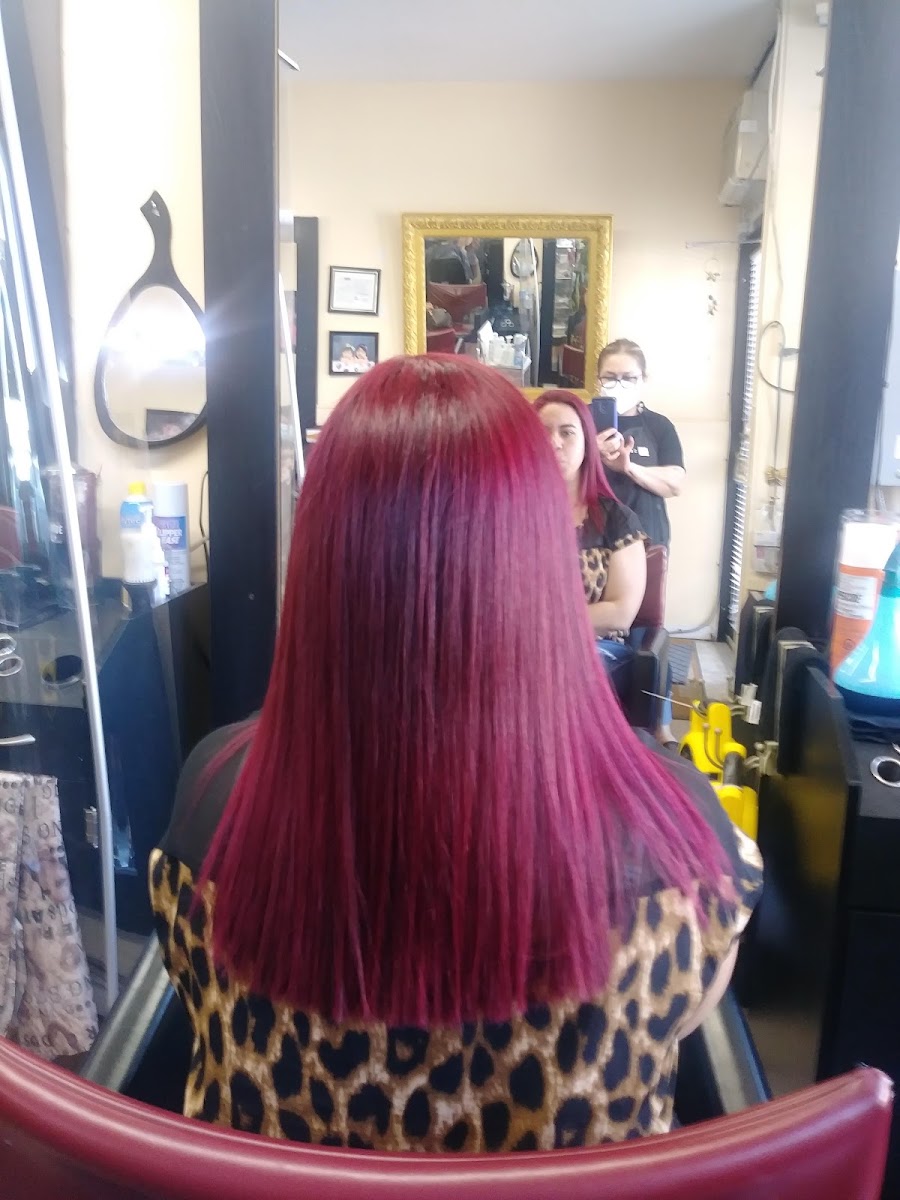 Carolina Beauty Center, beauty salon at 1172 Weston Road in Etobicoke, Toronto