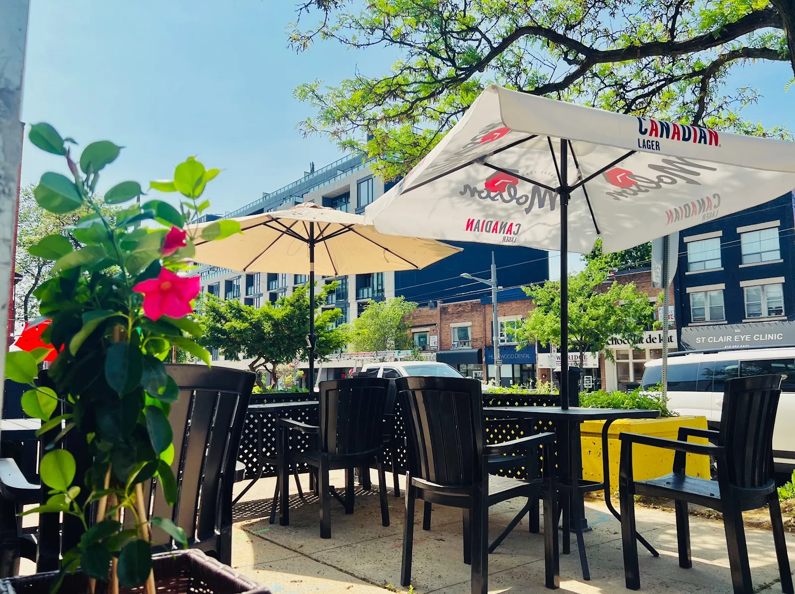 Chao Lay Thai Toronto, thai kitchen at 809 Saint Clair Avenue West in York, Toronto