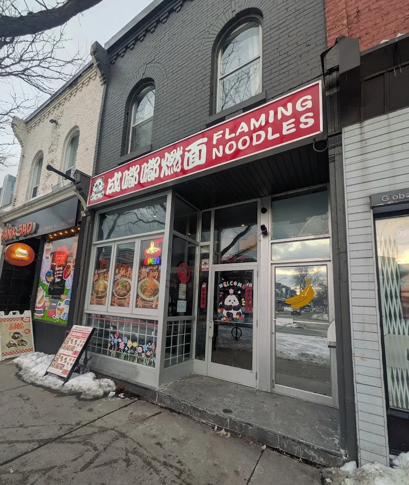 FLAMING NOODLES / 成嘟嘟燃面, chinese kitchen at 373 Spadina Avenue in Old Toronto, Toronto