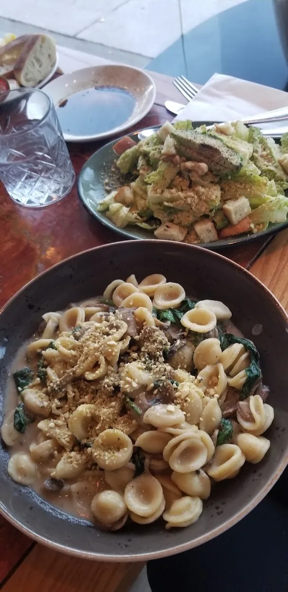 Italian For Vegan, italian kitchen at 576 Danforth Avenue in Old Toronto, Toronto