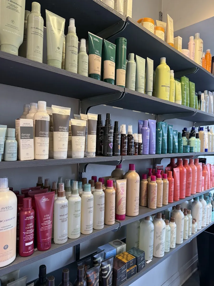 mazz salon, hair salon at 2369 Yonge Street in Old Toronto, Toronto