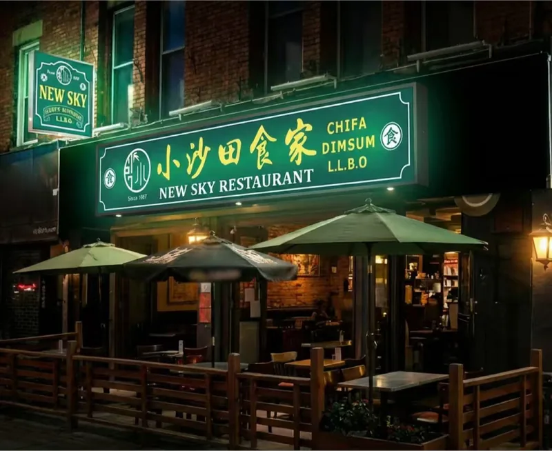 New Sky Restaurant, chinese kitchen at 444 Spadina Avenue in Old Toronto, Toronto