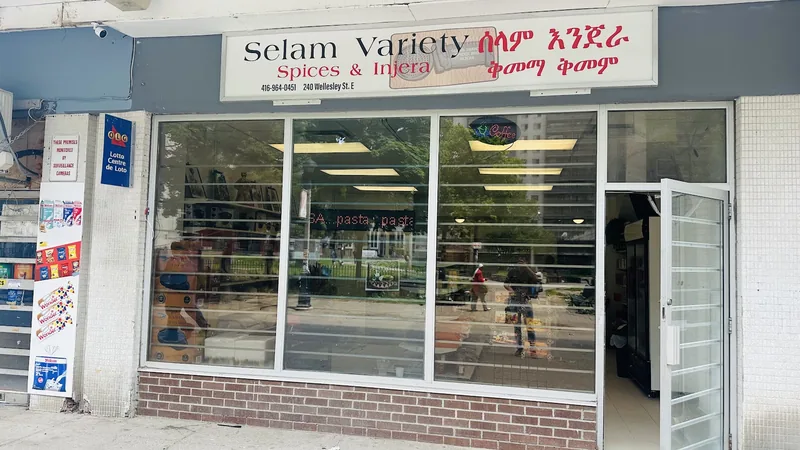 Selam Variety, Spices & Injera, grocery shop at 240 Wellesley Street East in Old Toronto, Toronto