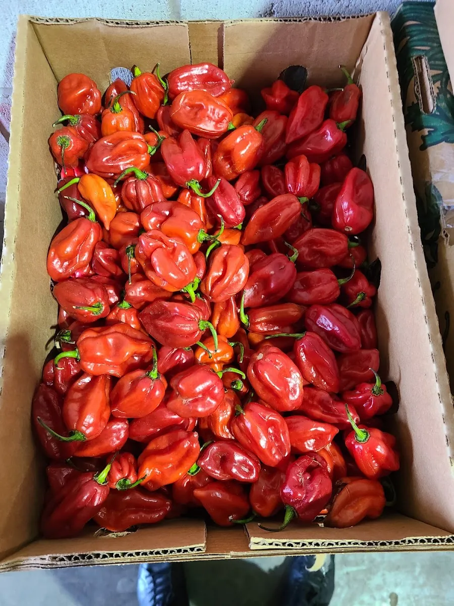 Xpress Tropical Foods, grocery shop at 1712 Jane Street in Etobicoke, Toronto